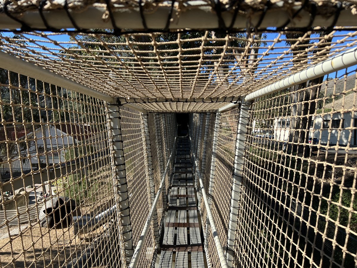 Rope ladders through the trees in the Gumnut Grove section